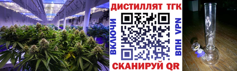 Дистиллят ТГК вейп с тгк  darknet телеграм  Камызяк 
