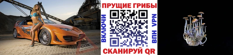 Псилоцибиновые грибы мухоморы Камызяк